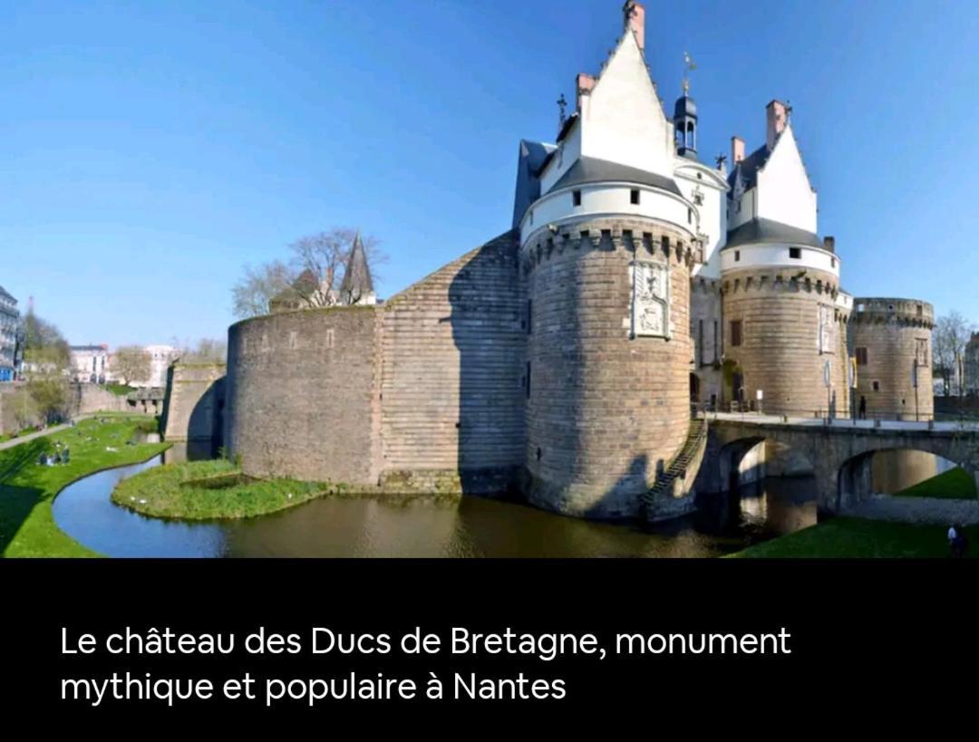 Appartamento Felix Vue Erdre & Cite Des Congres / Gare Sud Nantes Esterno foto